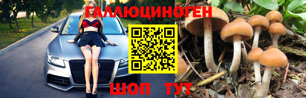 Галлюциногенные грибы Psilocybe Балашиха