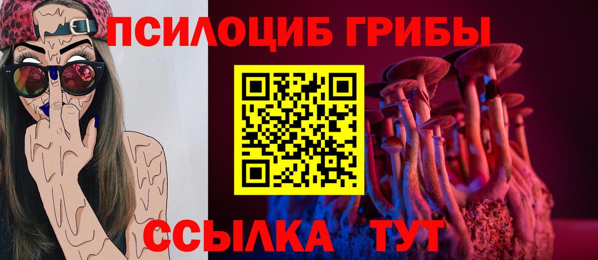 Псилоцибиновые грибы Magic Shrooms  Галлюциногенные грибы Psilocybine cubensis  Балашиха  Вход с VPN 